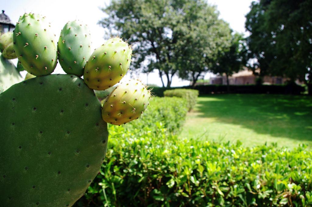 Holiday home Casa Vacanze Dietroserra *